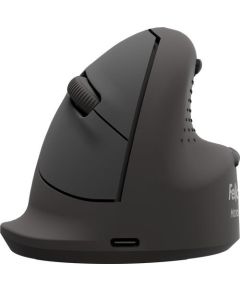 MOUSE USB OPTICAL WRL VERTICAL/ERGO+ M RT 100143581 FELLOWES Peles, ievadierīces