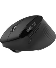 Acer Smart Fit Vertical Mouse, Retail pack Wireless Bluetooth Black Peles, ievadierīces