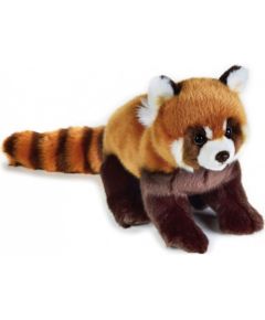 Dante Pluszak National Geographic - borsuk, 26 cm (003-70716) Mīkstās rotaļlietas