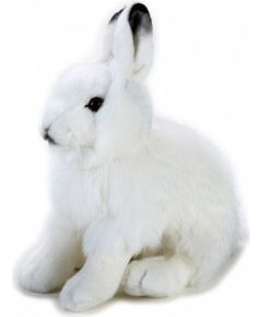 Dante Pluszak National Geographic Zając polarny biały 25 cm (003-70725) Mīkstās rotaļlietas