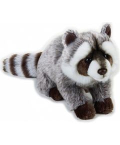 Dante Pluszak National Geographic Szop pracz szary 24 cm (003-70759) Mīkstās rotaļlietas