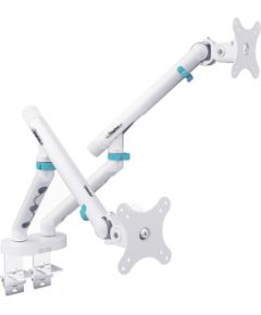 Digitus Desk Mount Tilt, rotation, pivot Dual design monitor mount, 2x 35", 2x 10 kg 35 " Maximum weight (capacity) 20 kg White Крепления для телевизоров