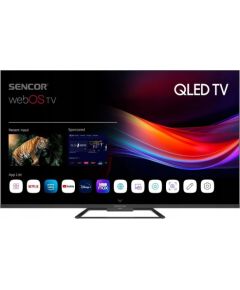 Sencor SLE 55Q871B Q-SERIES WEBOS TV Jaunumi - Datori