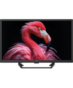 TV Strong TV 24 230/12Volt Google TV SRT24HG4723C Новинки Компьютерная техника