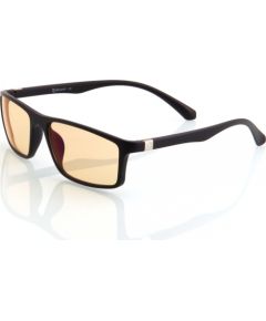 Brilles Arozzi Visione VX200 Jaunumi - Datori