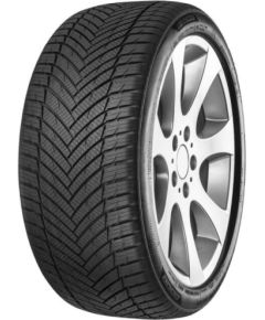 Minerva AS Master 215/40R17 87W Всесезонные покрышки