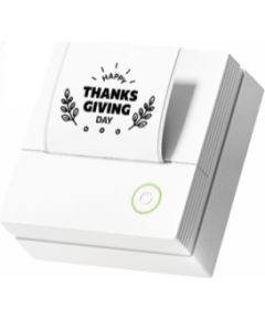 Termo Printeris Uprint PM290 Lāzerprinteri