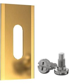 Extradigital Auto-Mover Blade, Titanium Coating 35x18x0.6 mm, 30pcs Akumulatori