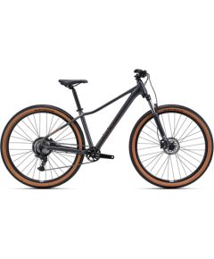 Bike CTM Charisma 1.0 29" Kalnu velosipēdi (MTB)