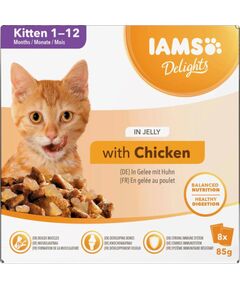 Eukanuba IAMS DELIGHTS Kitten in Jelly box – wet cat food – 8x85g Barība