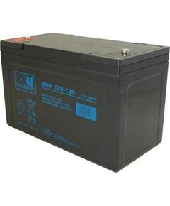 MW Power AKUMULATORS 12V/120Ah (MWP120-12H) Jaunumi - Datori