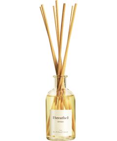 The Olphactory, Breathe Oxygen, Fragrance Sticks, Aroma Reed Diffuser, 100 ml Telpu aromāti