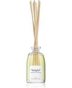 The Olphactory, Bright Orange & Cinnamon, Fragrance Sticks, Aroma Reed Diffuser, 250 ml Telpu aromāti