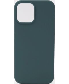 Evelatus Apple  iPhone 12 Pro Max Premium Soft Touch Silicone Case Pine Green Чехлы - альтернативные
