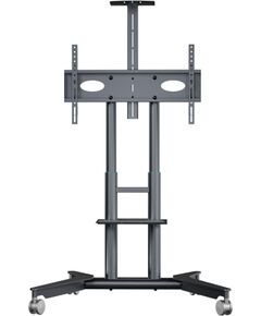 TV SET ACC MOBILE STAND/32-75"/GRAPHITE TS1571-G ONKRON TV un monitoru stiprinājumi, kronšteini