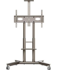TV SET ACC MOBILE STAND/32-75"/CHAMPAGNE TS1571-C ONKRON TV un monitoru stiprinājumi, kronšteini