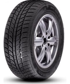 RoadX RX Frost WH01 195/65R15 91H Ziemas riepas