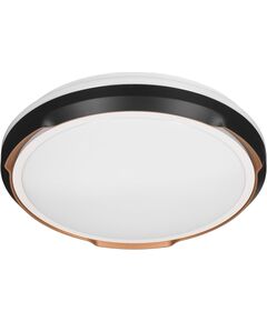 Activejet LED ceiling light AJE-PETRUS 24W Griestu lampas - šķīvji