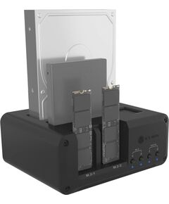 Raidsonic Icy Box IB-2925MS-CU31 (black) USB / Type-C Hub