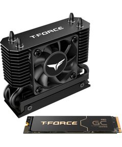 Team Group T-Force GC PRO 2 TB (black, PCIe 5.0 x4 | M.2 2280 | T-FORCE DARK AirFlow heatsink) Жесткие диски (HDD)