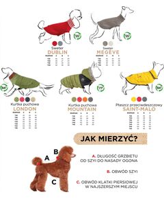 Zolux ZOLUX Sweterek DUBLIN T40 kol. szary Citas preces