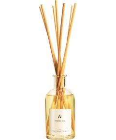 The Olphactory, Cedar & Oud, Fragrance Sticks, Aroma Reed Diffuser, 100 ml Telpu aromāti