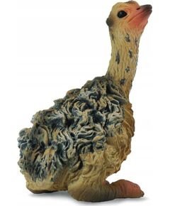 Figurka Collecta COLLECTA STRUŚ MŁODY SIEDZĄCY Фигурки и герои