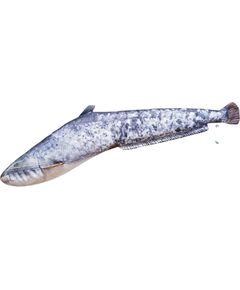 Gaby Sama spilvens 62 cm – Silurus glanis Matrači, virsmatrači un spilveni
