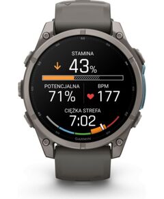 Garmin   Fenix 9 – 47mm
Titanium with Pebble Grey Silicone Band Smart-Watch Умные часы