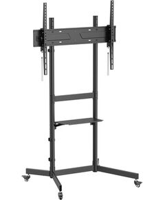 Equip Bodenstandhalter 55"-100"/1TFT  70kg Economy        sw TV un monitoru stiprinājumi, kronšteini