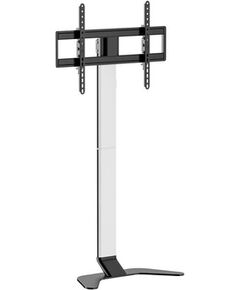 Equip Bodenstandhalter  37"-86"/1TFT  45kg Ultra Slim     si TV un monitoru stiprinājumi, kronšteini