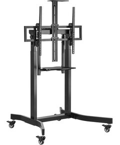 Equip Bodenstandhalter 55"-100"/1TFT 120kg Mob.Elektr.LFD sw lite Retail TV un monitoru stiprinājumi, kronšteini