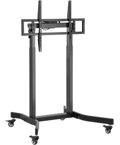 Equip Bodenstandhalter 55"-100"/1TFT 120kg Mob.Elektr.LFD sw lite Retail TV un monitoru stiprinājumi, kronšteini
