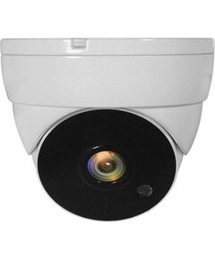 LevelOne CCTV Dome   Kamera 4-in-1 FHD/IP67/IR-30m      weiß Video novērošanas kameras