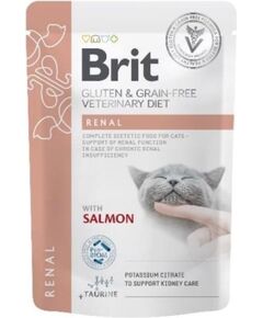 BRIT VD Renal Cat Pouch - wet cat food - 12x85g Barība