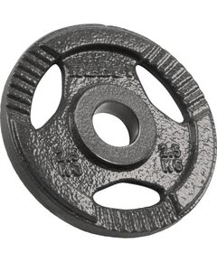 Čuguna olimpisko svaru komplekts 4x2,5kg, 51mm caurums, plāksne ar rokturiem, REBEL ACTIVE Hanteles