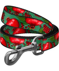 Waudog WAU DOG SMYCZ NYLON  S 15mm/300cm         GRANATY Citas preces