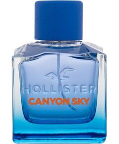 Hollister Canyon / Sky 100ml Vīriešu Smaržas