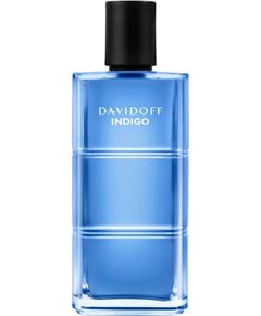 Davidoff DAVIDOFF Indigo EDT spray 110ml Vīriešu Smaržas