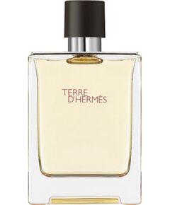 Hermes, Terre d'Hermes, Eau De Toilette, For Men, 100 ml *Tester Духи и косметика