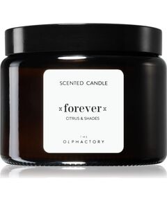 The Olphactory, Forever Citrus & Shades, Scented Candle, 360 g Telpu aromāti