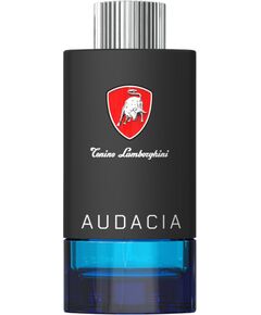 Tonino Lamborghini, Techno Audacia, Eau De Toilette, For Men, 100 ml Духи и косметика