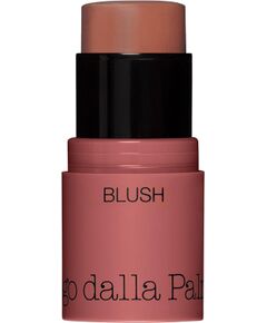 Diego Dalla Palma, All In One, Blush Stick, 44, Biscuit, 4 g Kосметические средства