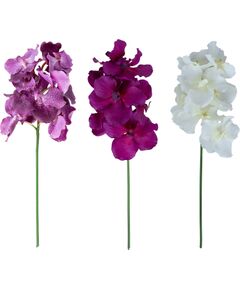 Orhideja FLOWERLY H60cm, mix Jaunumi, mēbeles, māja