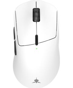 White Shark TOR WGM-5024, White Мыши