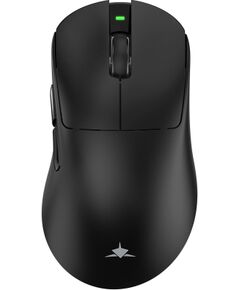 White Shark CAMILLUS-B WGM-9013, Black Мыши