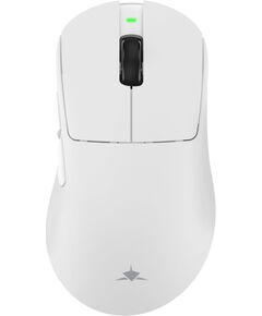 White Shark CAMILLUS WGM-9013, White Мыши