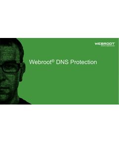 Webroot DNS Protection with GSM Console 2 year(s) License quantity 1-9 user(s) Программное обеспечение