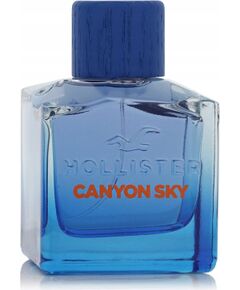 Alkotest HOLLISTER Canyon Sky For Him EDT spray 100ml Vīriešu Smaržas