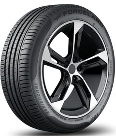 Forceland Vitality F22 205/55R16 91V Vasaras riepas